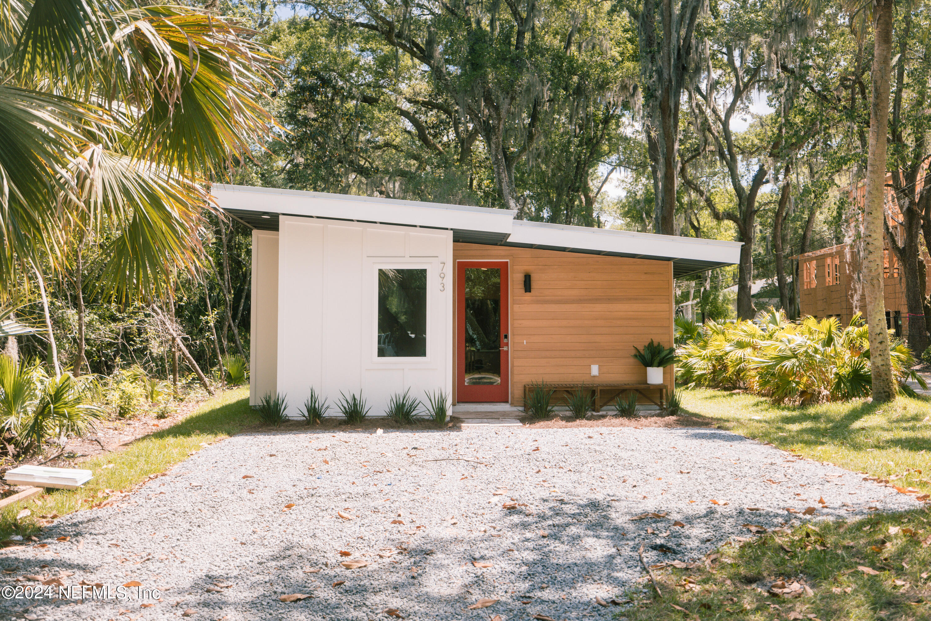 a view of a backyard with plants and large trees