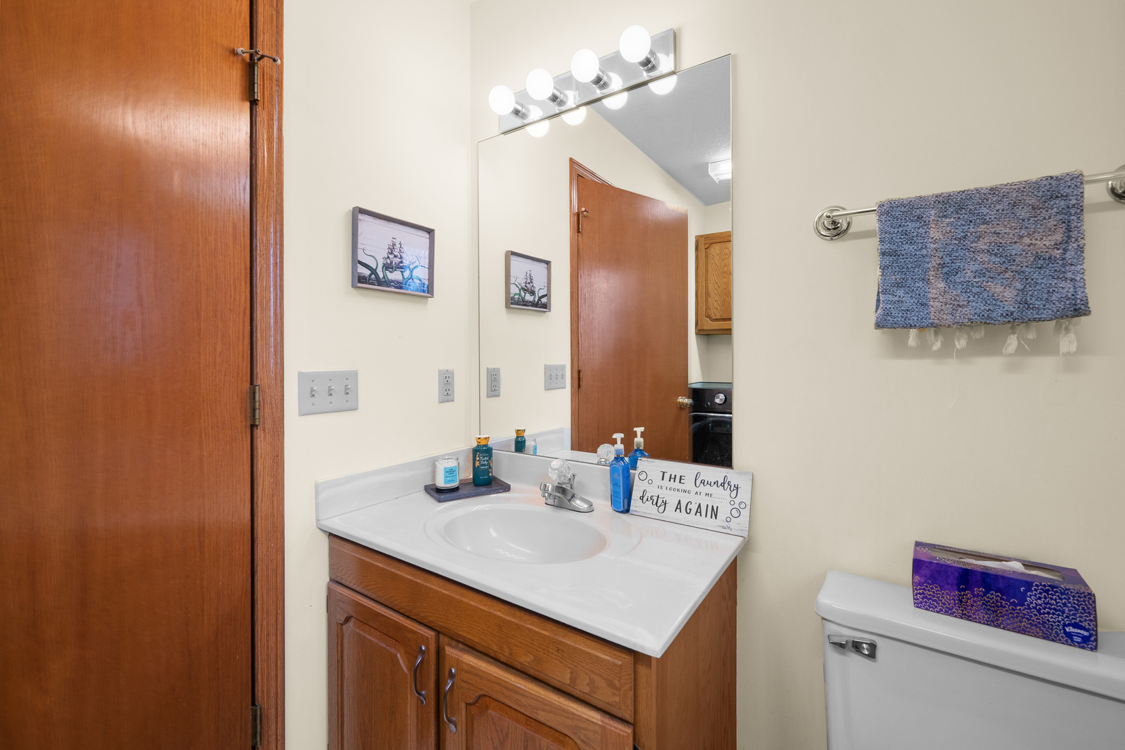 6002 Oakbrook Road Davenport, IA 52806 - Photo 24 of 50 a bathroom with a sink vanity and a mirror