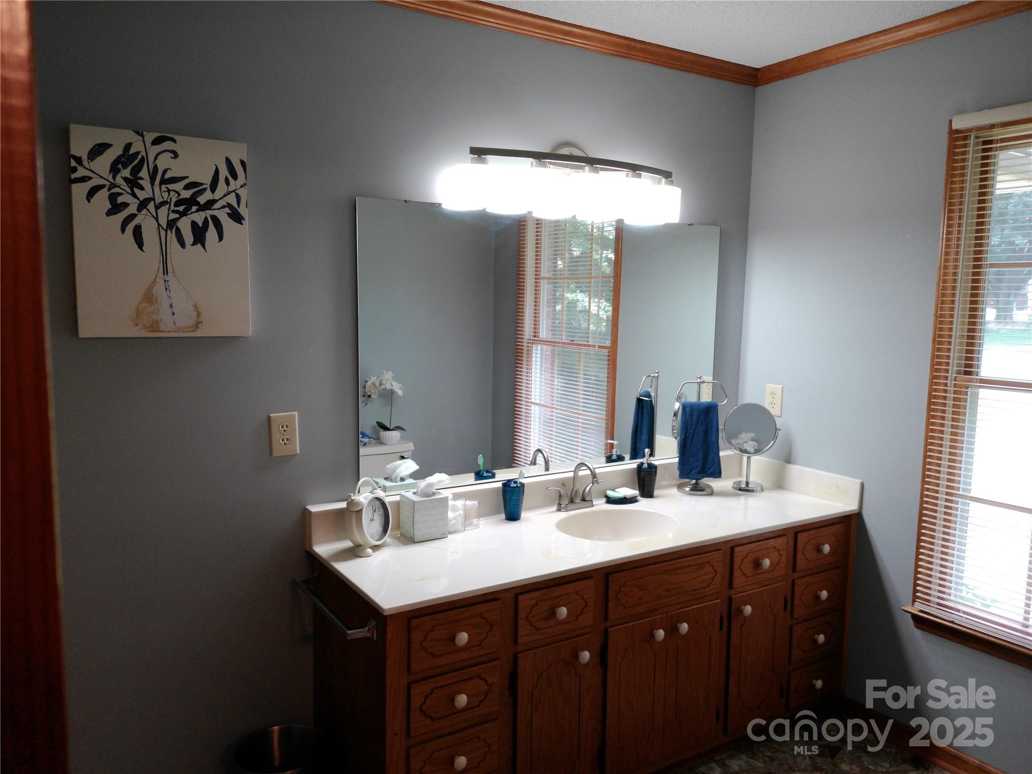 216 Williams Road Harrisburg, NC 28075 - Photo 17 of 28 a bathroom with a double vanity sink and a mirror