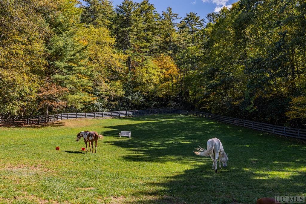 144 Laurel Knob Road Cashiers, NC 28717 - Photo 23 of 54 Gallery Image 23