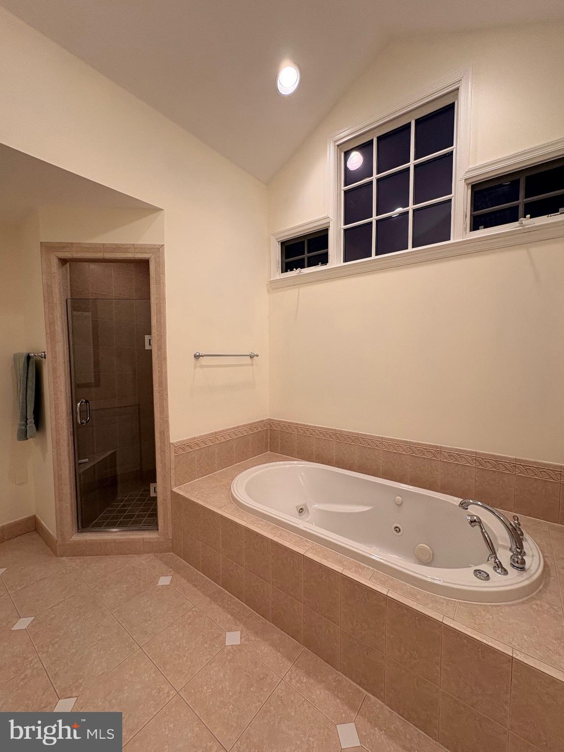 911 Rail Court McLean, VA 22102 - Photo 10 of 23 Primary bath separate tub