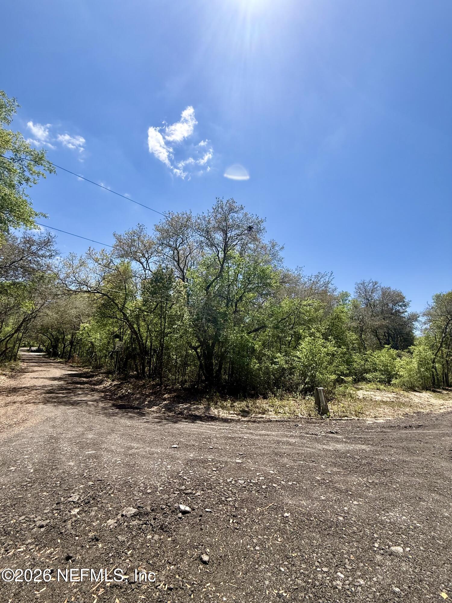 a view of a yard with a tree