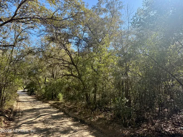 a view of a street with a tree