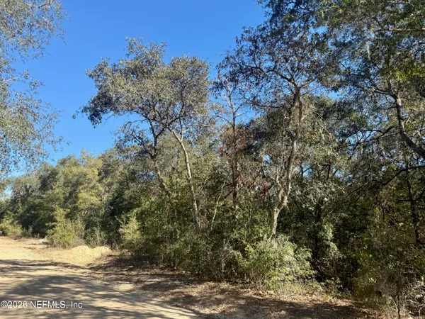 a view of a yard with trees