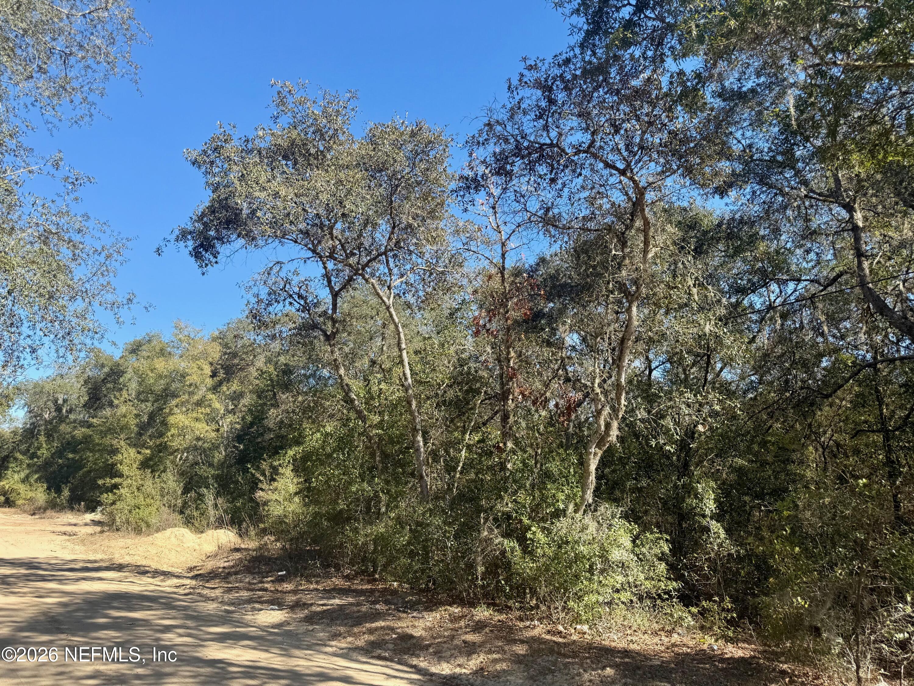 143 Oak Circle Interlachen, FL 32148 - Photo 4 of 4 a view of a yard with trees