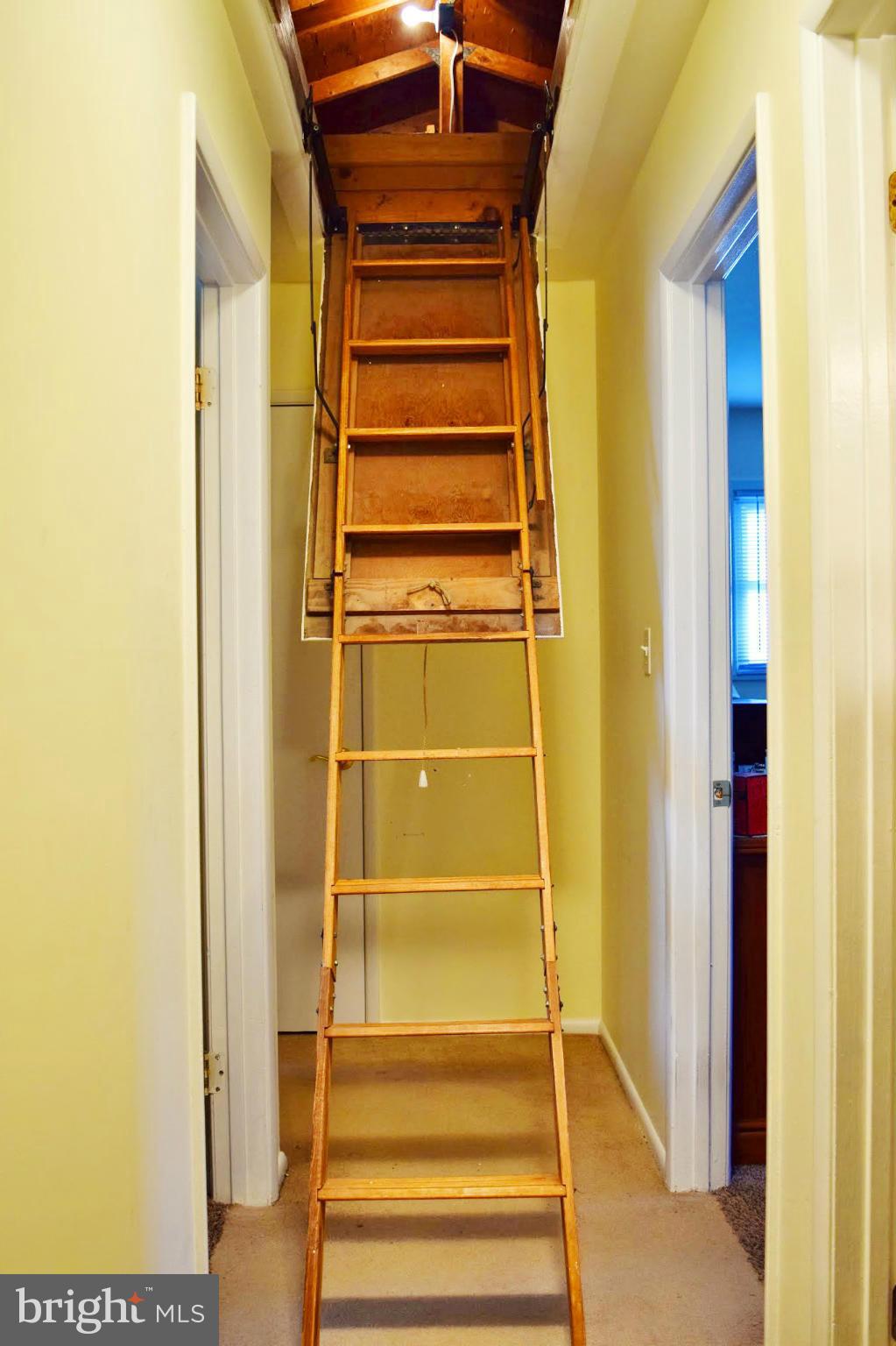 616 Banyan Road Edgewood, MD 21040 - Photo 22 of 26 Pull Down Attic Storage!