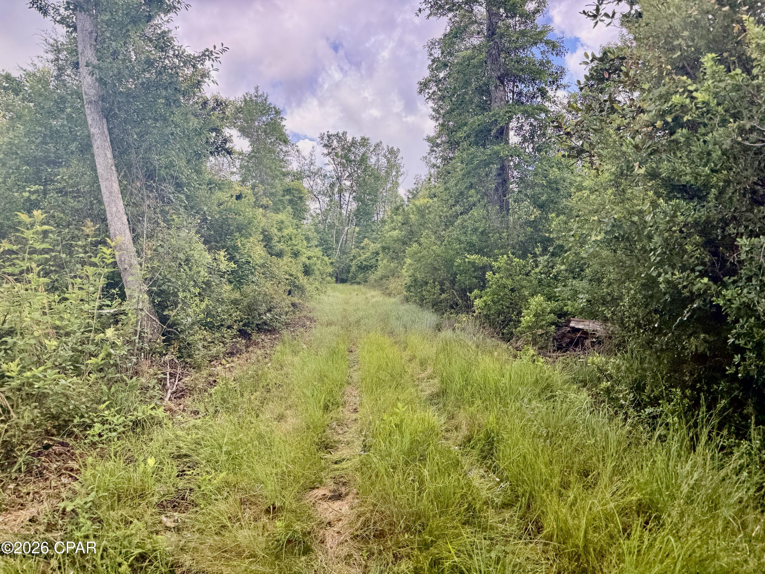 14567 C J Roberts Road Blountstown, FL 32424 - Photo 32 of 38