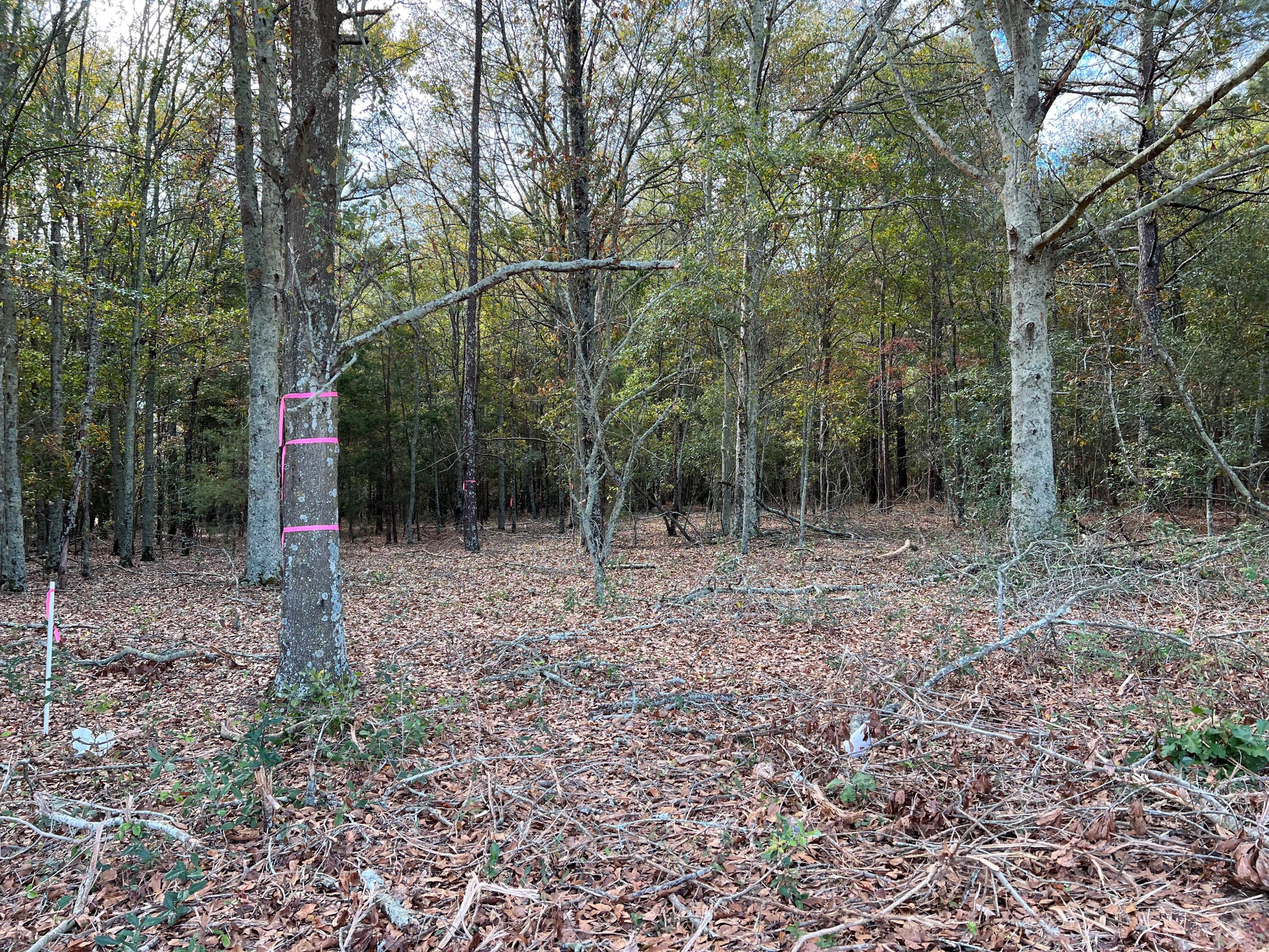 L5 Redbank Street, Unit 5 Wagener, SC 29164 - Photo 3 of 13