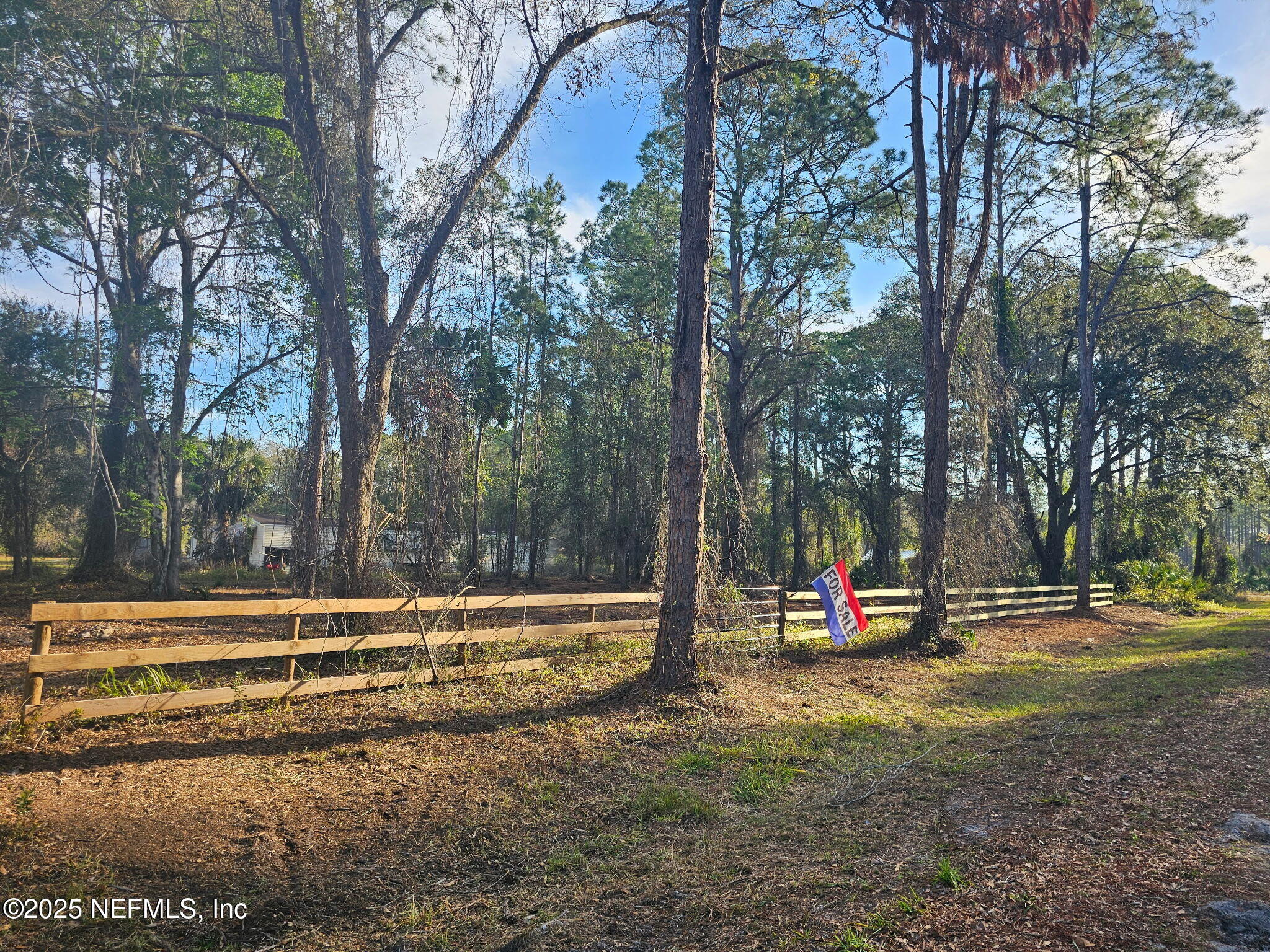 534 Palm Way Georgetown, FL 32139 - Photo 1 of 10 Palm Way Fenced