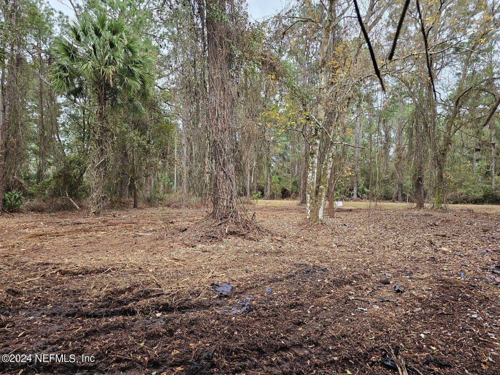 534 Palm Way Georgetown, FL 32139 - Photo 2 of 10 534 Palm Way Georgetown