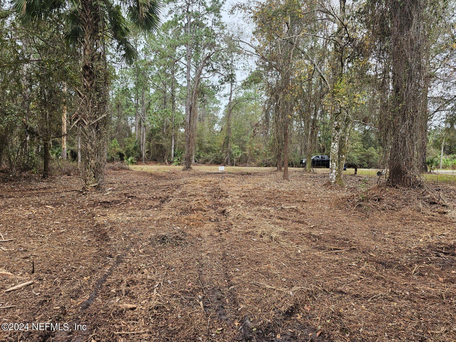 534 Palm Way Georgetown, FL 32139 - Photo 3 of 10 1000006161 (1)