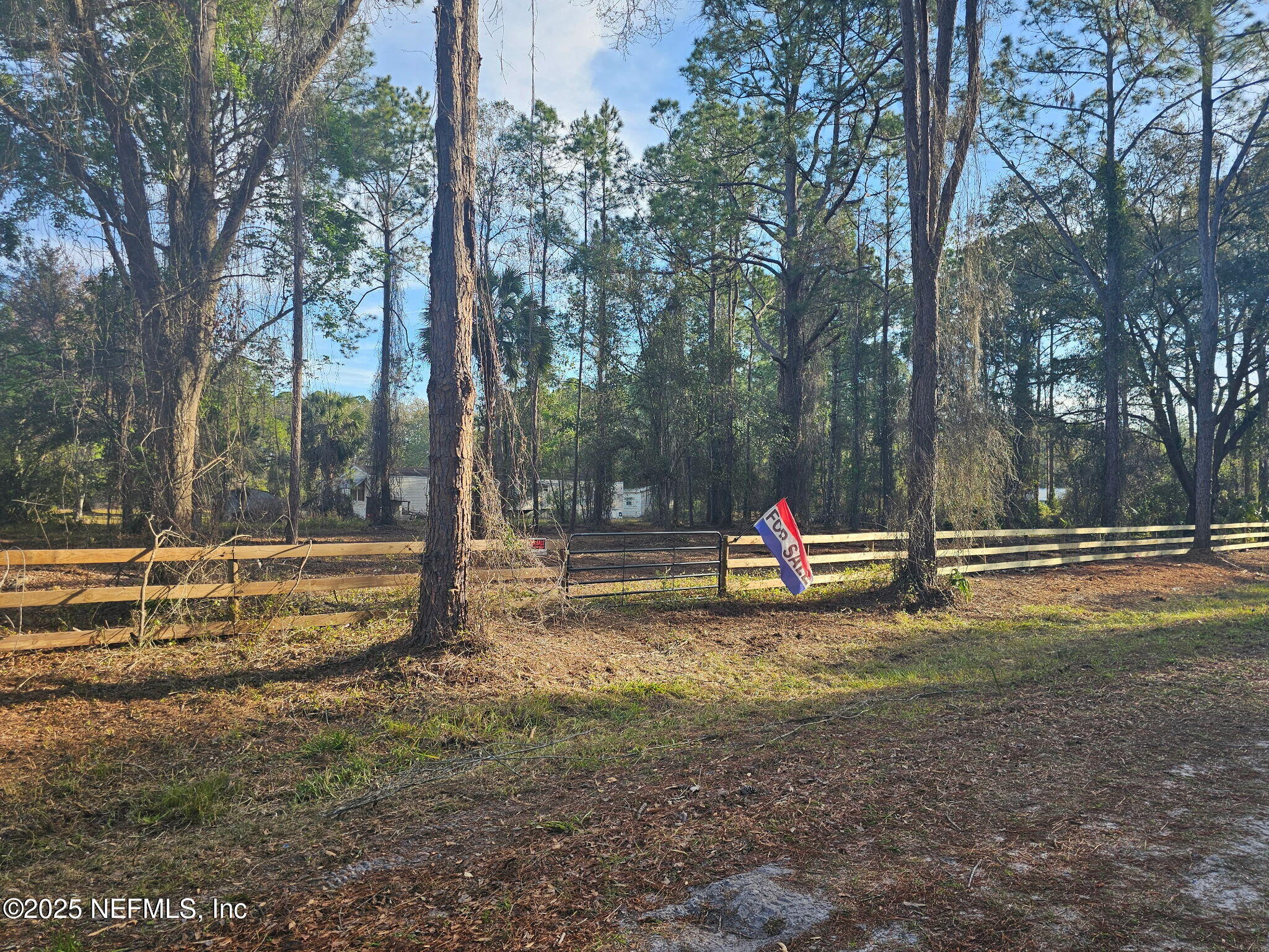 534 Palm Way Georgetown, FL 32139 - Photo 4 of 10 Palm way 2 fenced