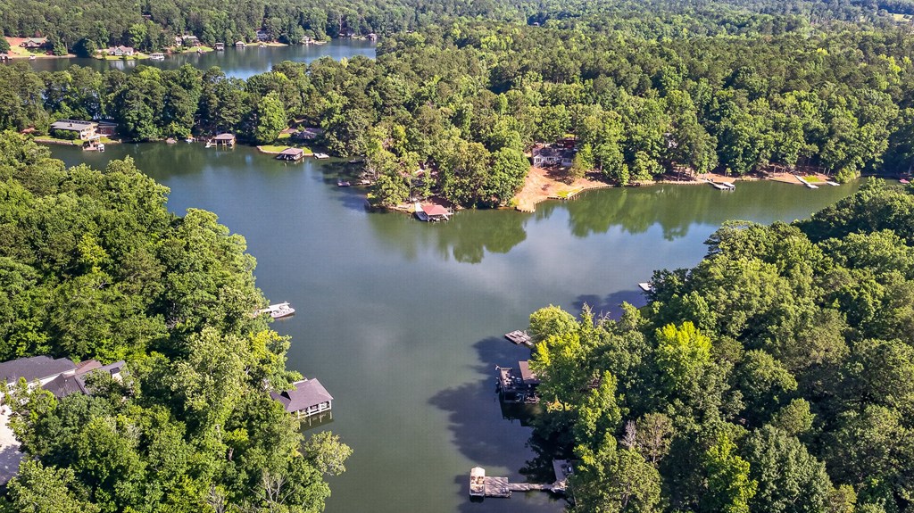 688 Millers Road North Hamilton, GA 31811 - Photo 34 of 40