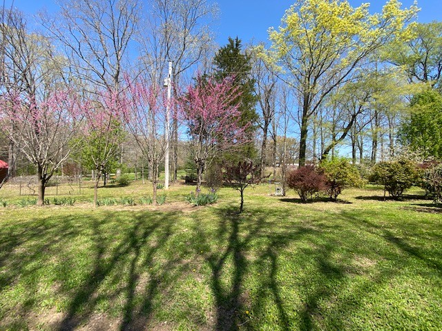 751 Monroe Floyd Road Decherd, TN 37324 - Photo 21 of 38 a view of yard with tree