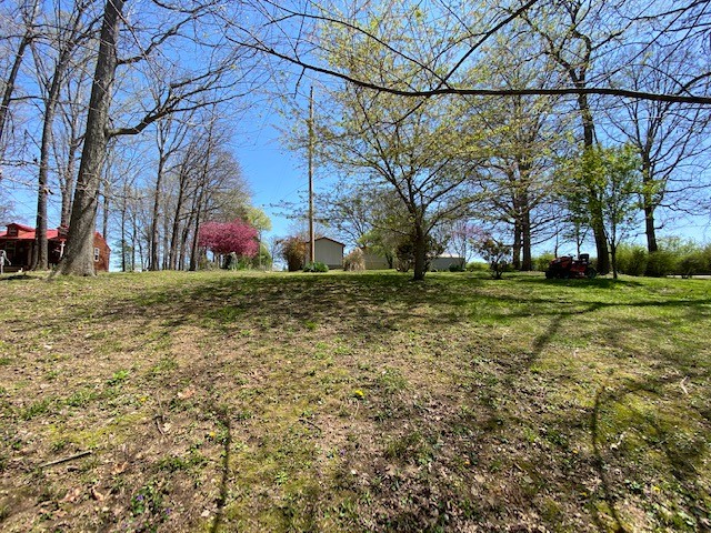 751 Monroe Floyd Road Decherd, TN 37324 - Photo 29 of 38 a backyard of a house with lots of green space and fountain