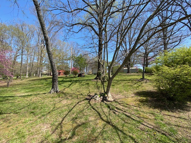 751 Monroe Floyd Road Decherd, TN 37324 - Photo 31 of 38 a view of a yard with a tree