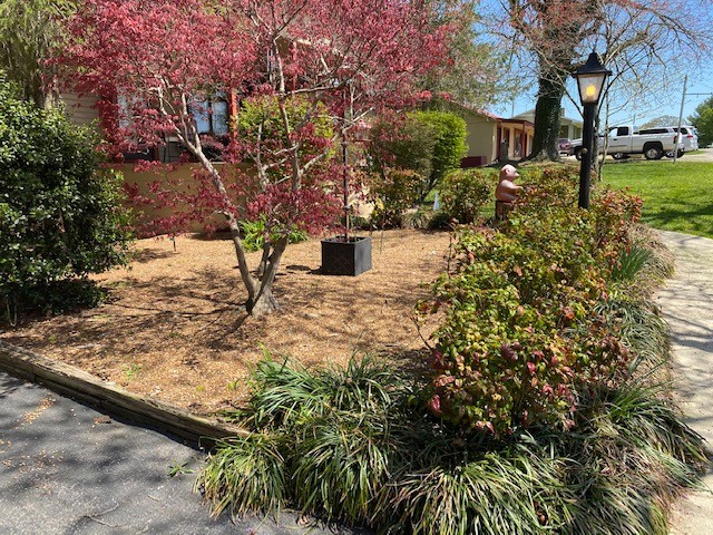 751 Monroe Floyd Road Decherd, TN 37324 - Photo 32 of 38 a view of a yard with plants and trees
