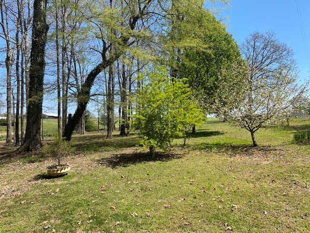 751 Monroe Floyd Road Decherd, TN 37324 - Photo 34 of 38 a backyard of a house with lots of green space