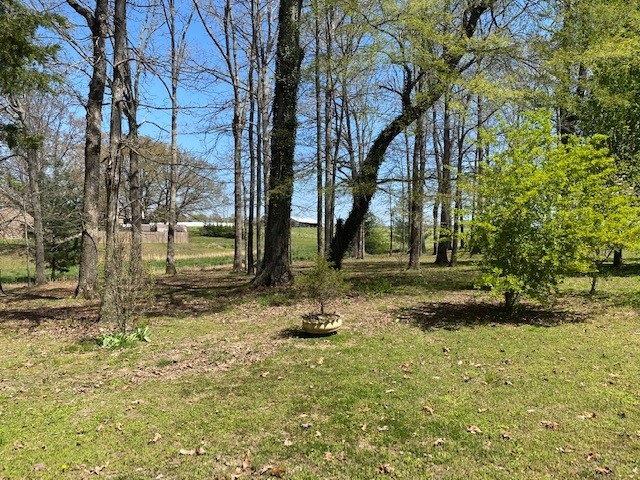 751 Monroe Floyd Road Decherd, TN 37324 - Photo 35 of 38 a swimming pool with trees in the background
