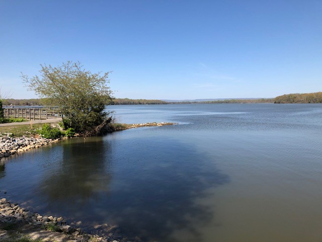 751 Monroe Floyd Road Decherd, TN 37324 - Photo 37 of 38 a view of a lake with outside space