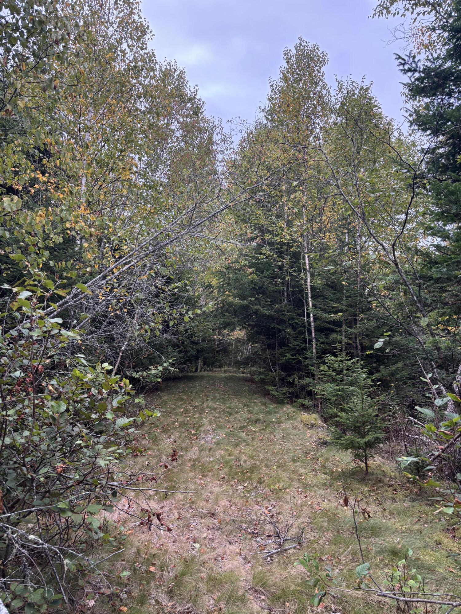M20-l2 East Side Road Addison, ME 04606 - Photo 15 of 15