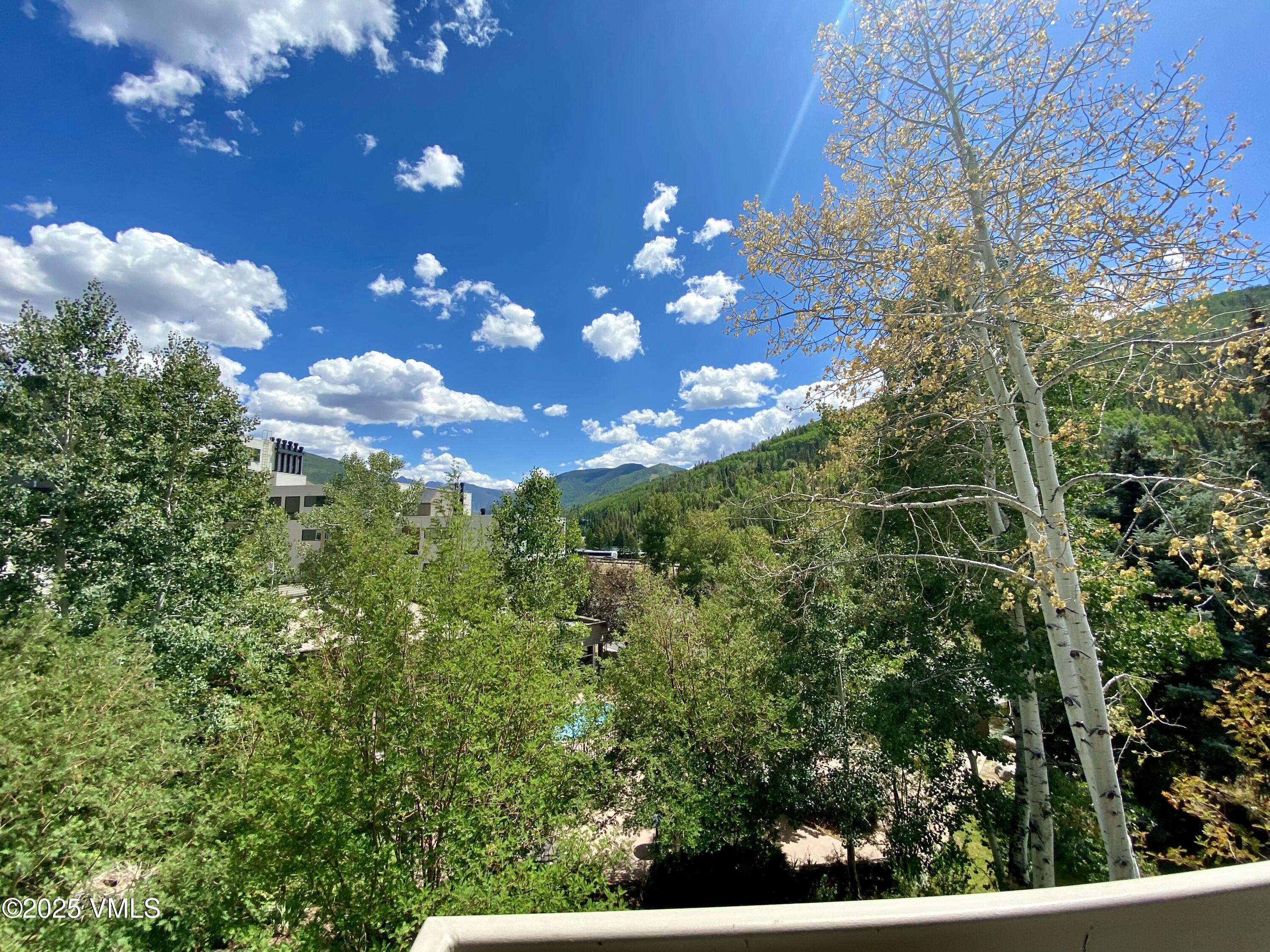 1100 North Frontage Road West, Unit 2401 Vail, CO 81657 - Photo 12 of 29 a view of a tree