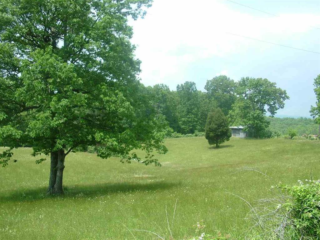 2529 Doc Loy Road Grandview, TN 37337 - Photo 14 of 42 14