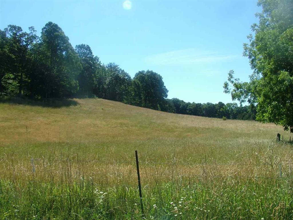 2529 Doc Loy Road Grandview, TN 37337 - Photo 20 of 42 20