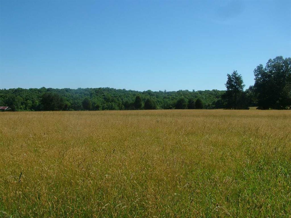 2529 Doc Loy Road Grandview, TN 37337 - Photo 23 of 42 23
