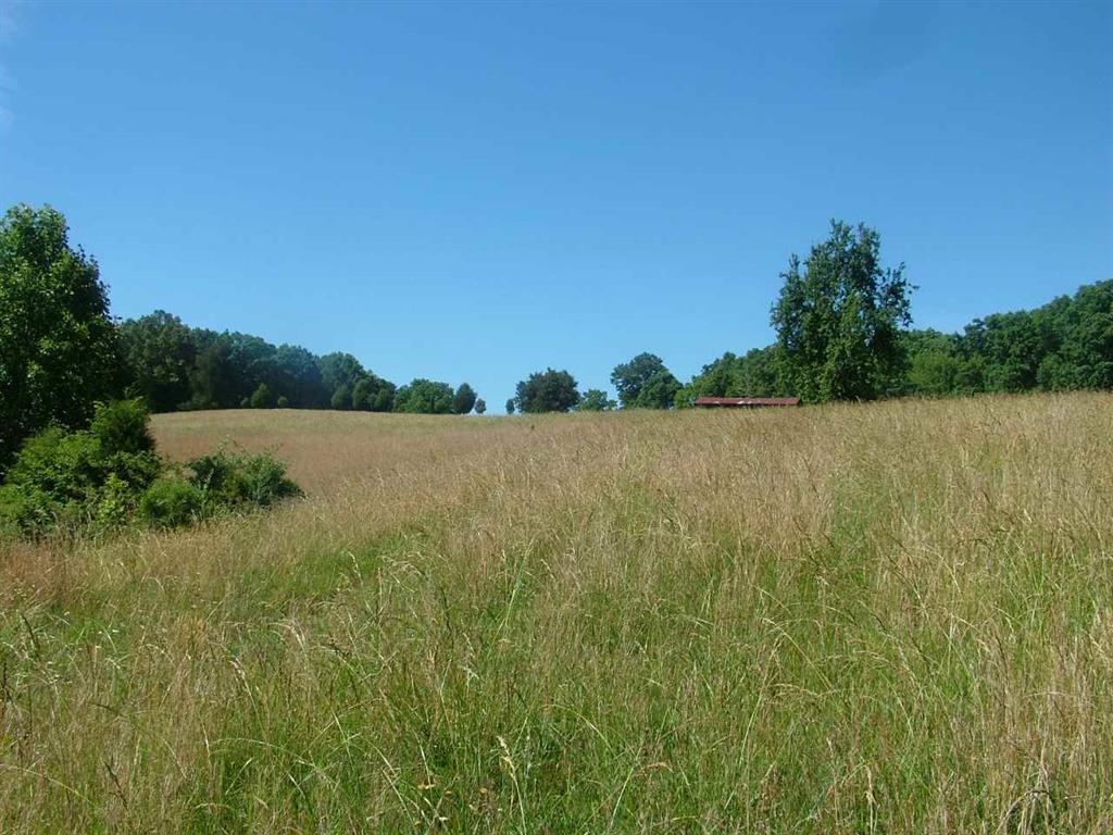 2529 Doc Loy Road Grandview, TN 37337 - Photo 26 of 42 26