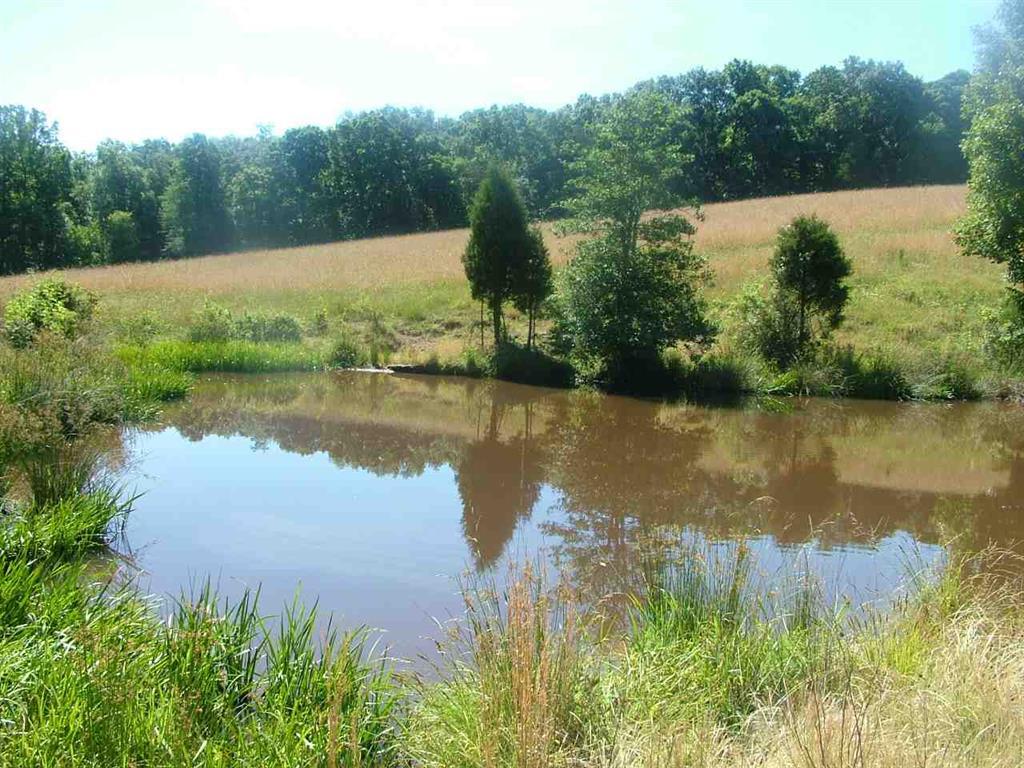 2529 Doc Loy Road Grandview, TN 37337 - Photo 27 of 42 27