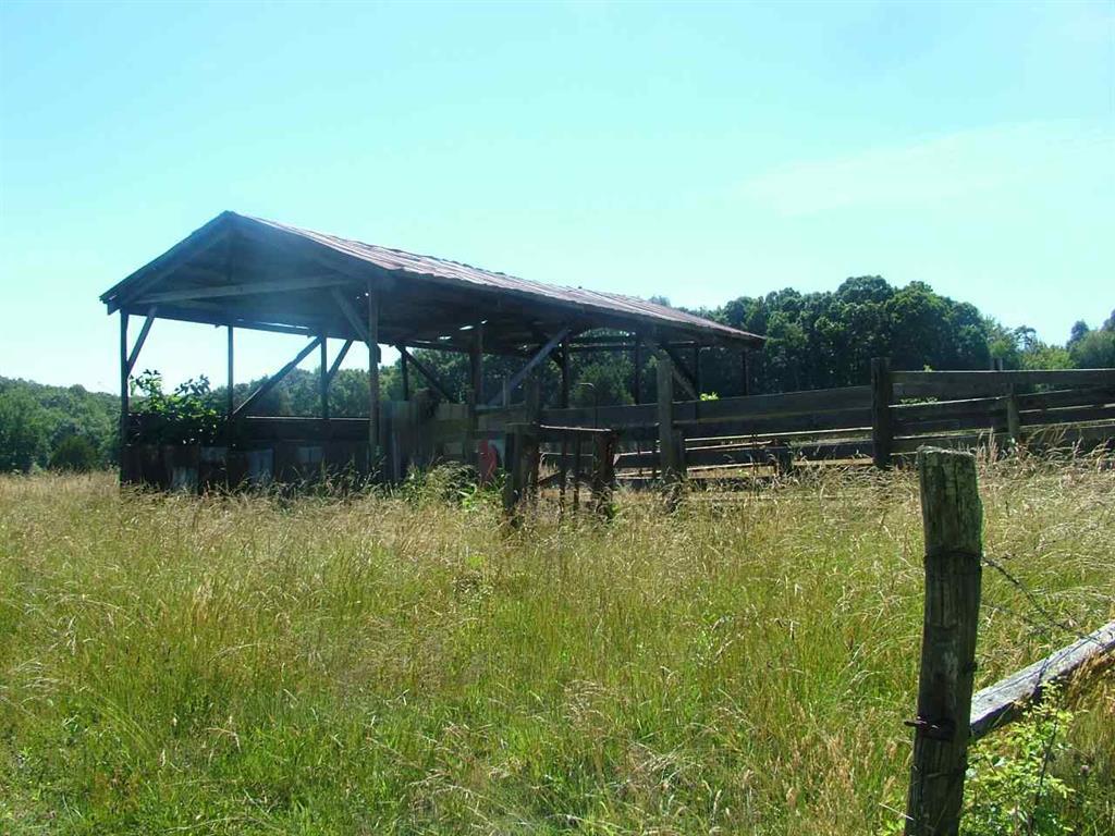 2529 Doc Loy Road Grandview, TN 37337 - Photo 29 of 42 29