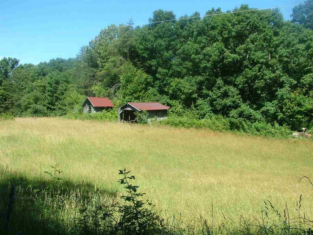 2529 Doc Loy Road Grandview, TN 37337 - Photo 32 of 42 32