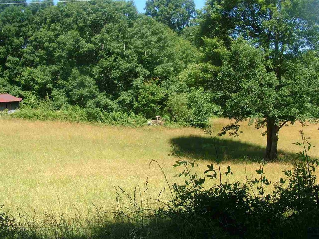 2529 Doc Loy Road Grandview, TN 37337 - Photo 33 of 42 33