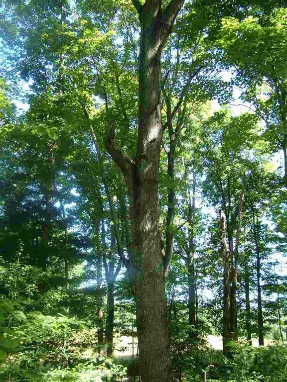 2529 Doc Loy Road Grandview, TN 37337 - Photo 34 of 42 34