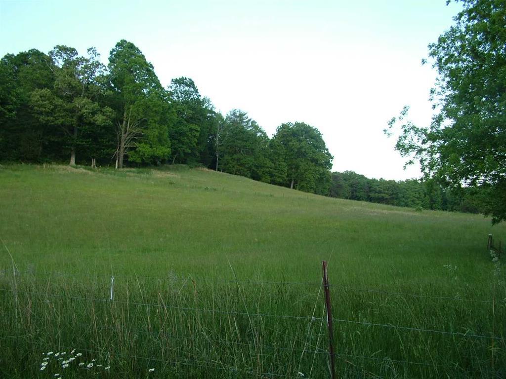 2529 Doc Loy Road Grandview, TN 37337 - Photo 9 of 42 9