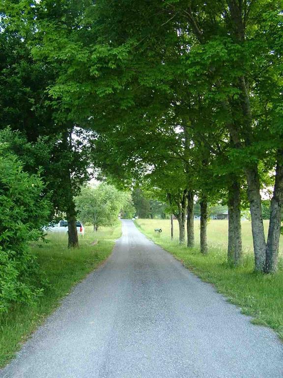 2529 Doc Loy Road Grandview, TN 37337 - Photo 10 of 42 10