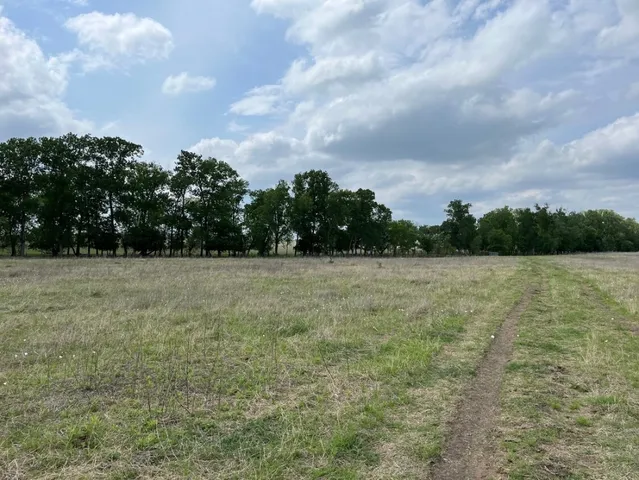 a view of a field