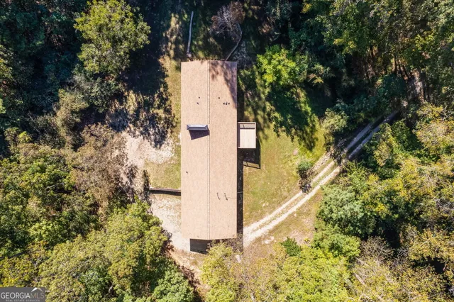 a view of a yard with plants