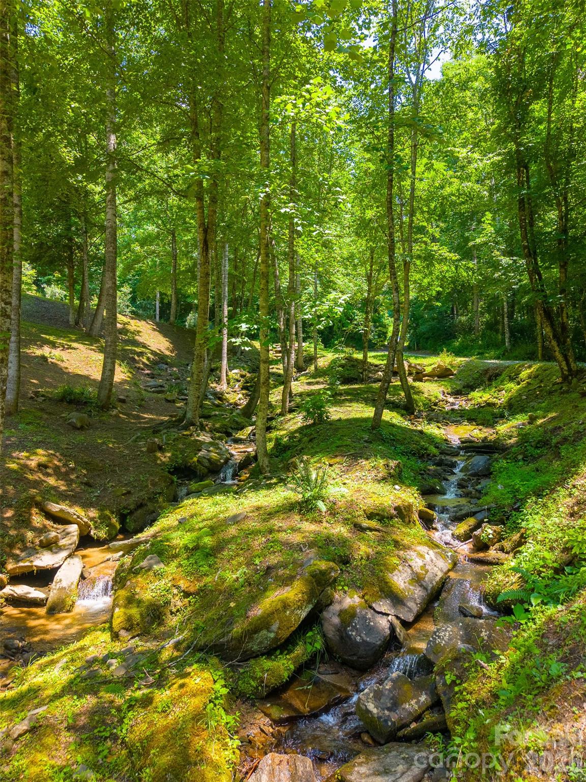 77 Pigeon Creek Road Bryson City, NC 28713 - Photo 3 of 47
