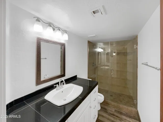 a bathroom with a sink a toilet and shower