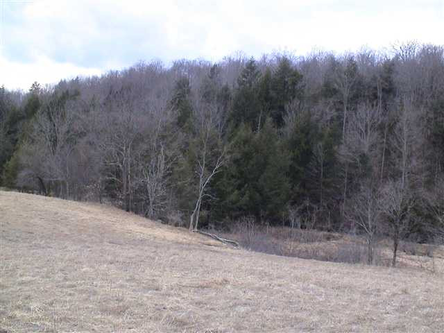 717 Wharton Hollow Road Summit, NY 12175 - Photo 11 of 12 Photo 11