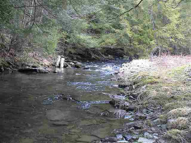 717 Wharton Hollow Road Summit, NY 12175 - Photo 10 of 12 Photo 10