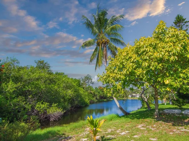 a view of a yard with a house in the background