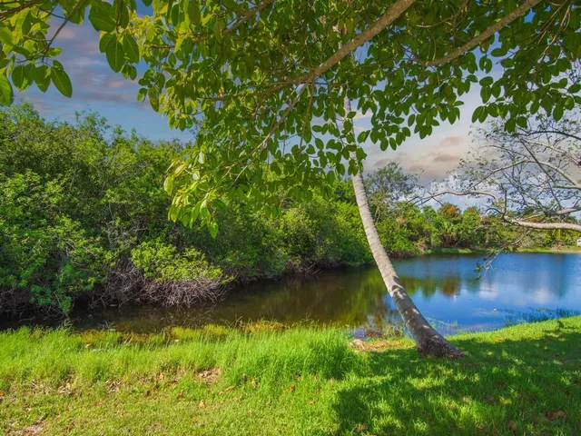 a view of a lake with a yard