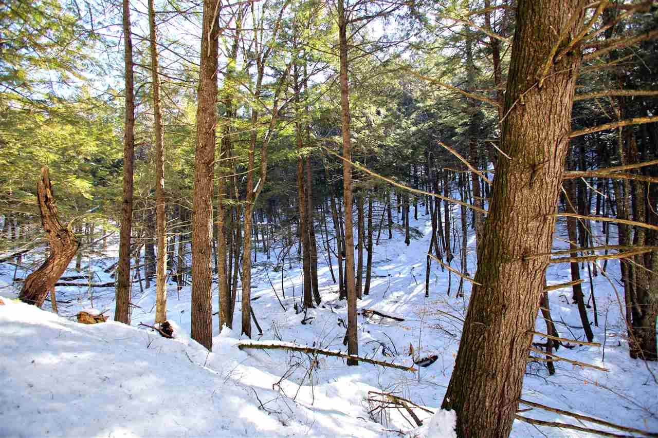 100 Settlement Road Fairfax, VT 05454 - Photo 17 of 40 Gallery Image 17