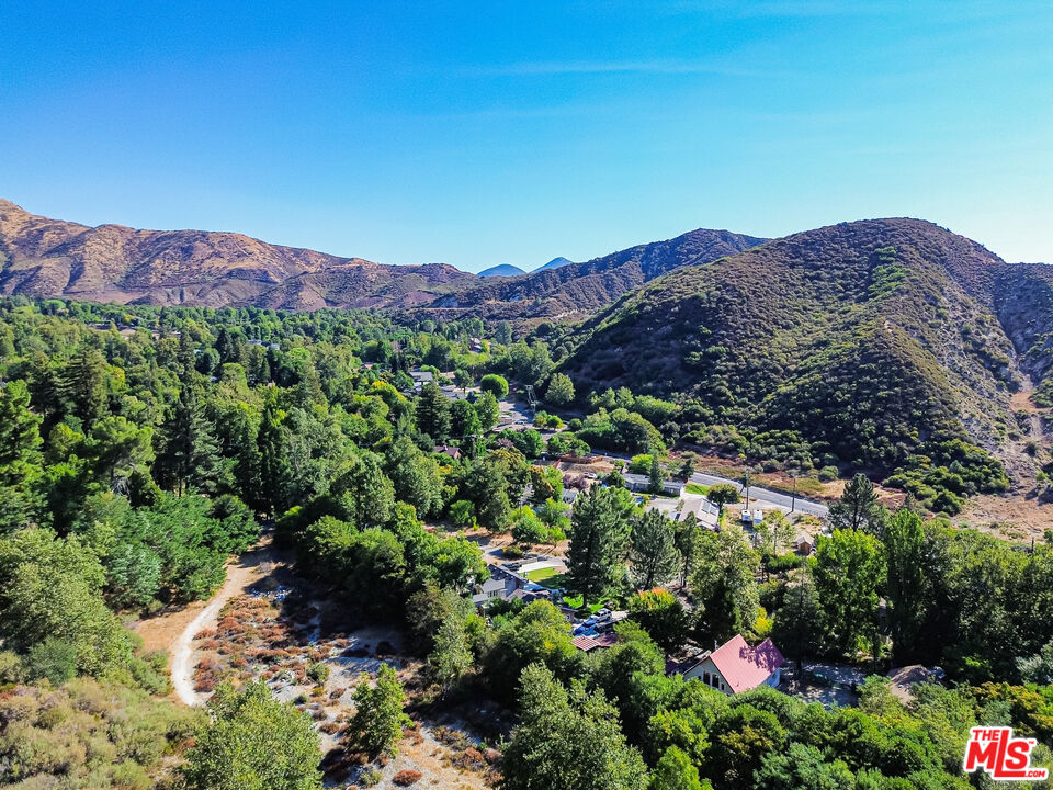 528 Stream Lane Lytle Creek, CA 92358 - Photo 42 of 44