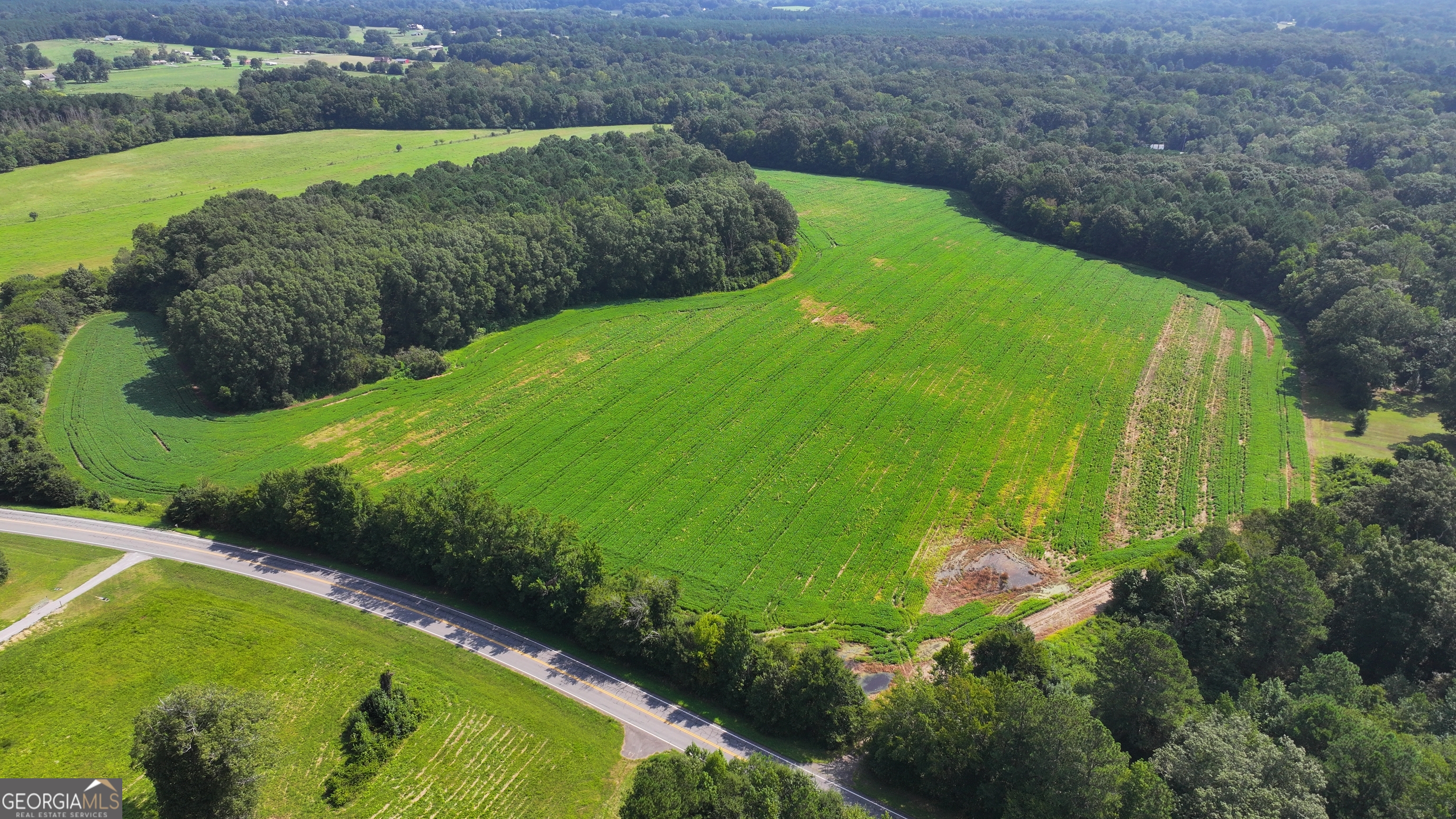 0 Sugar Valley Road Sugar Valley, GA 30746 - Photo 1 of 14 a view of a garden with a lake