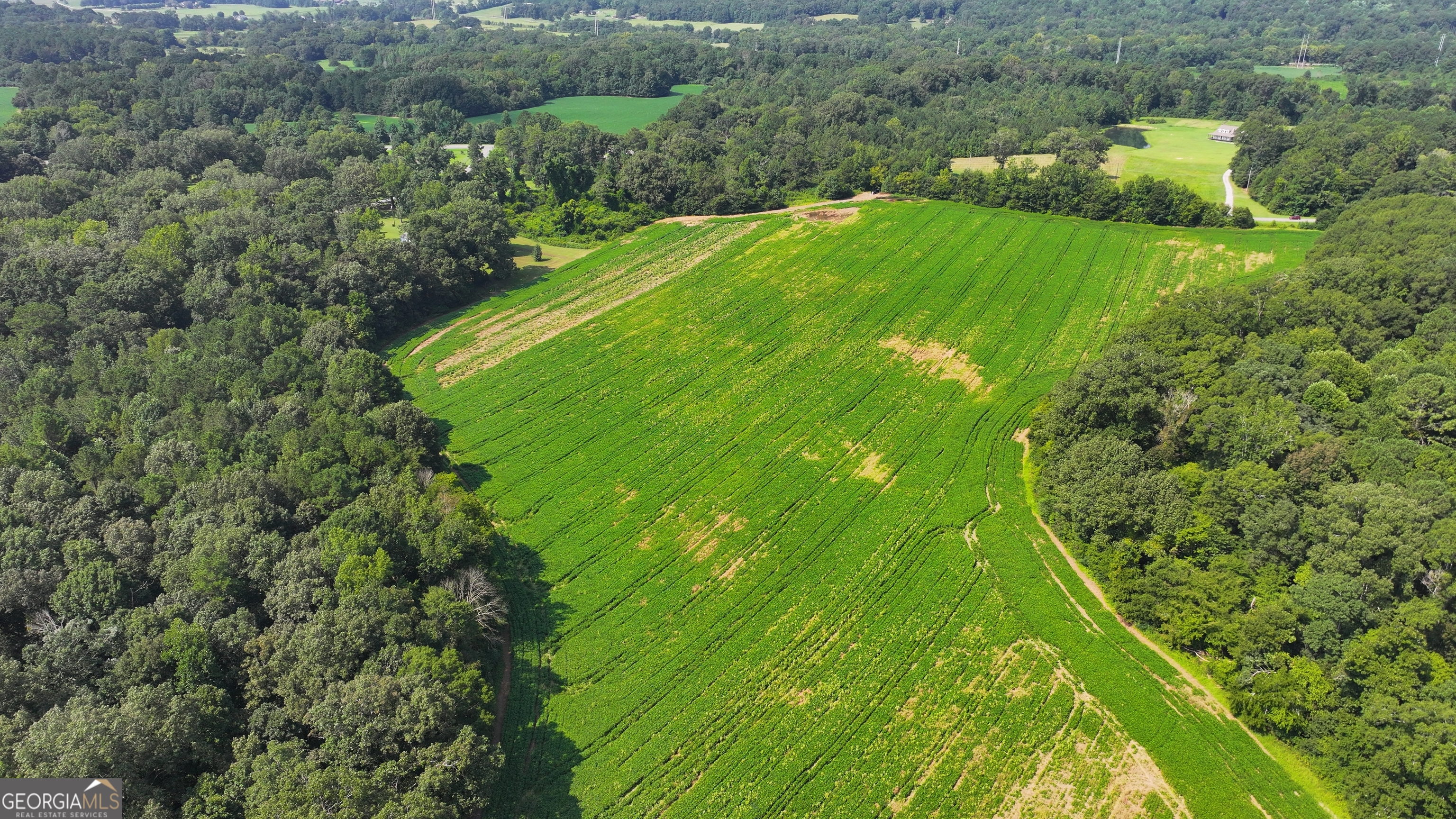 0 Sugar Valley Road Sugar Valley, GA 30746 - Photo 11 of 14