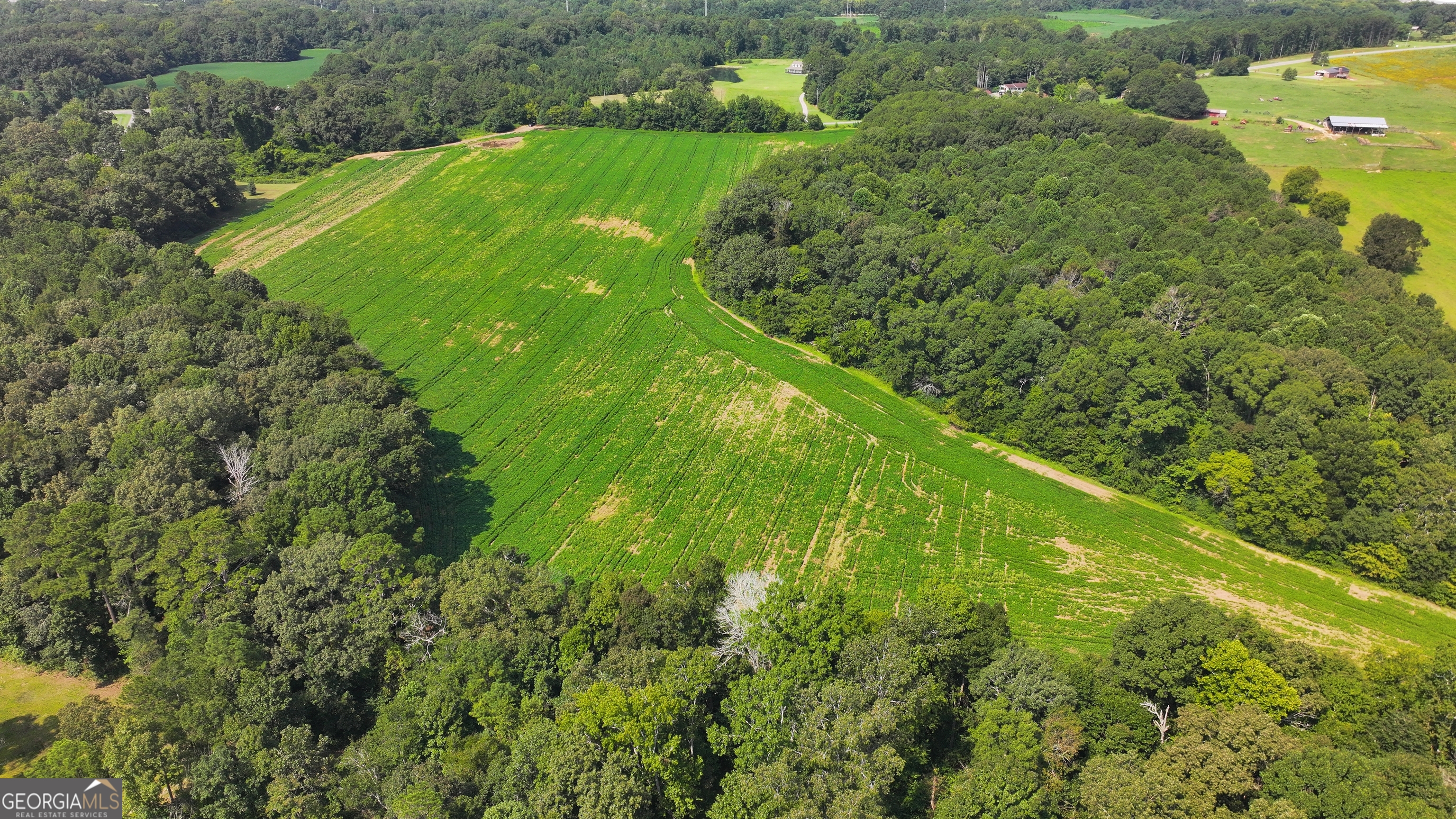 0 Sugar Valley Road Sugar Valley, GA 30746 - Photo 12 of 14 a view of a green yard with large trees